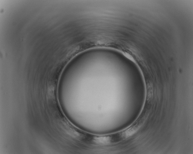 X0000062840269200601201645