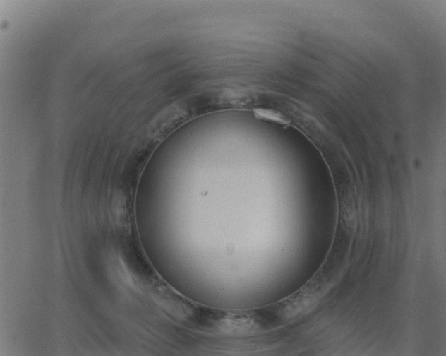 X0000062840270200601201645