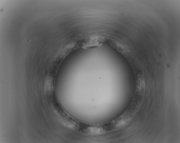 X0000062840272200601201645