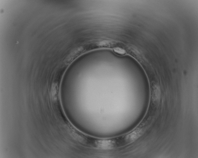 X0000062840273200601201645