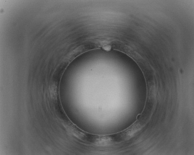 X0000062840274200601201645