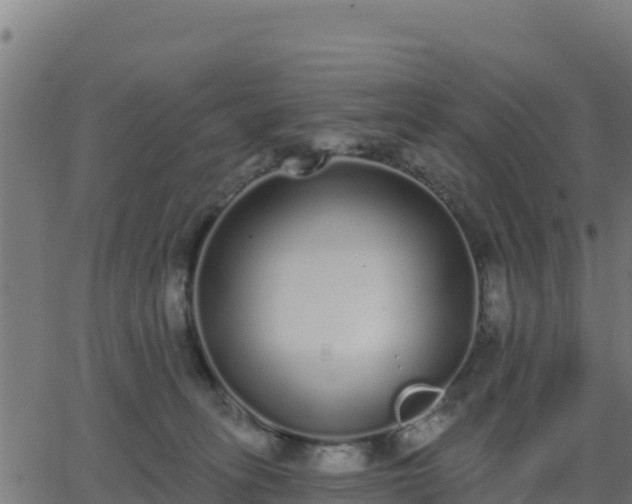 X0000062840275200601201645