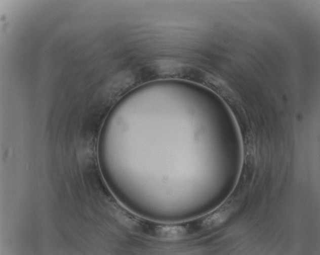 X0000062840277200601201646