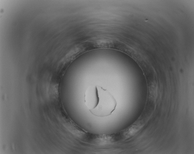 X0000062840278200601201646