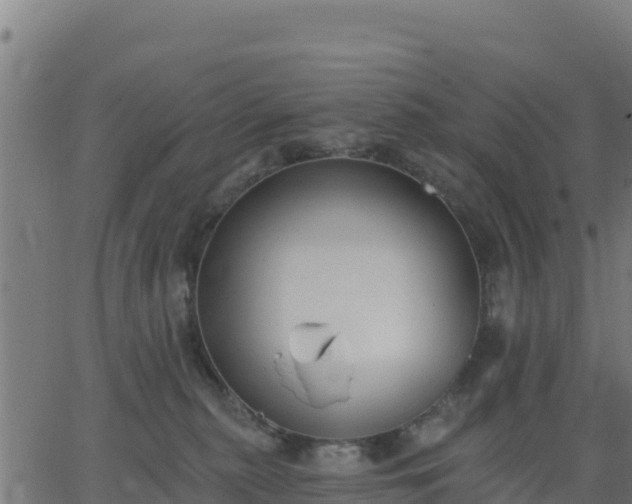 X0000062840279200601201646