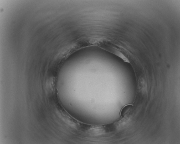 X0000062840280200601201646