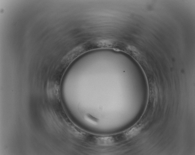 X0000062840281200601201646