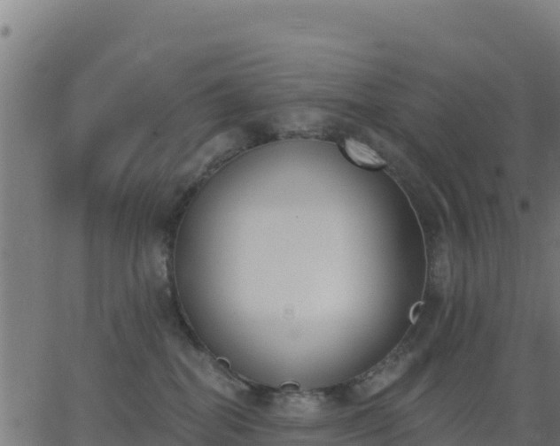 X0000062840282200601201646