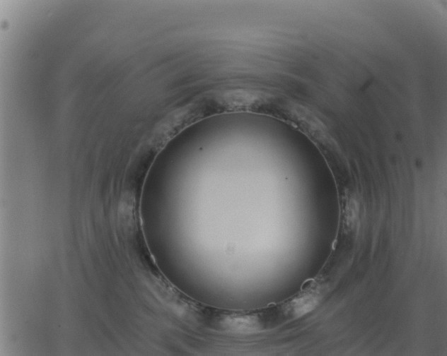 X0000062840283200601201646