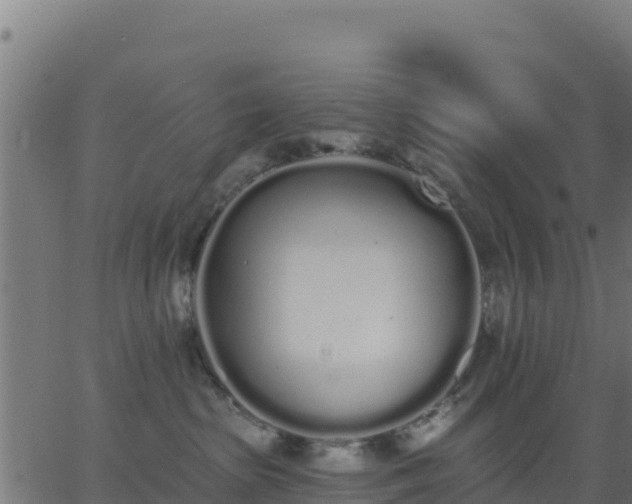 X0000062840285200601201646