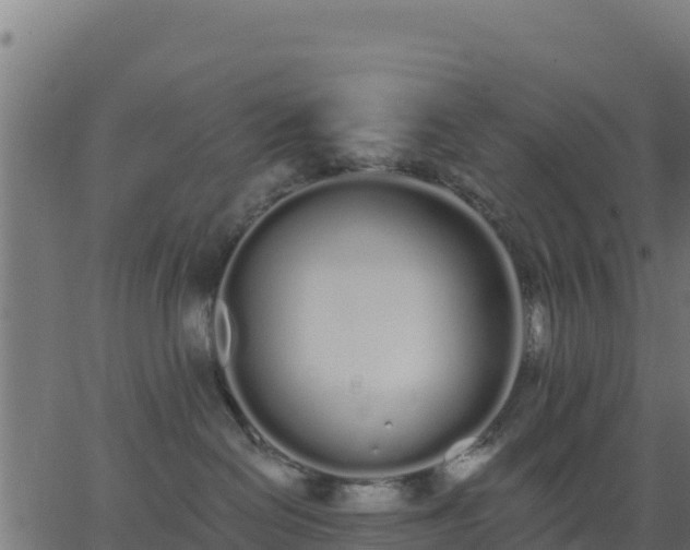 X0000062840286200601201646