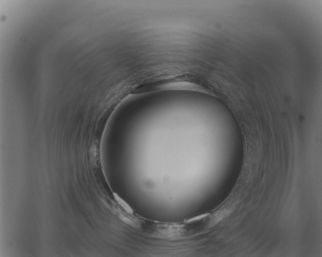 X0000062840288200601201646