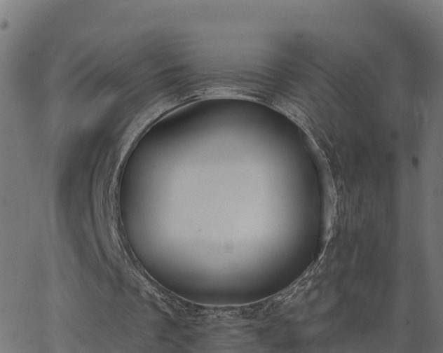 X0000062840289200601201645