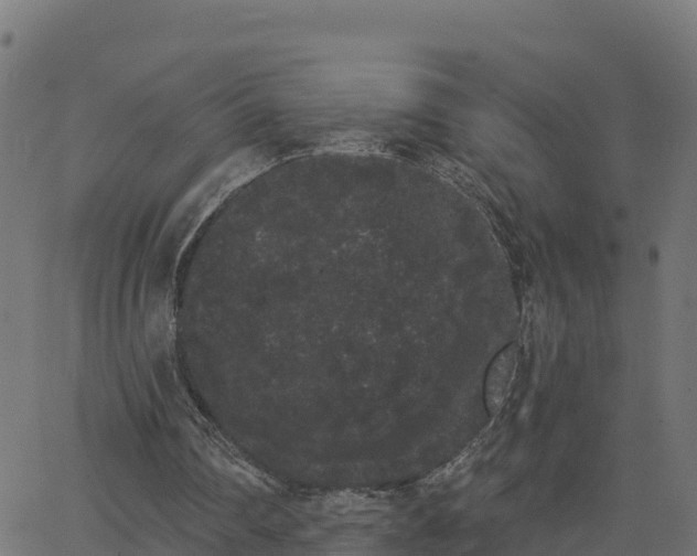 X0000062840290200601201645