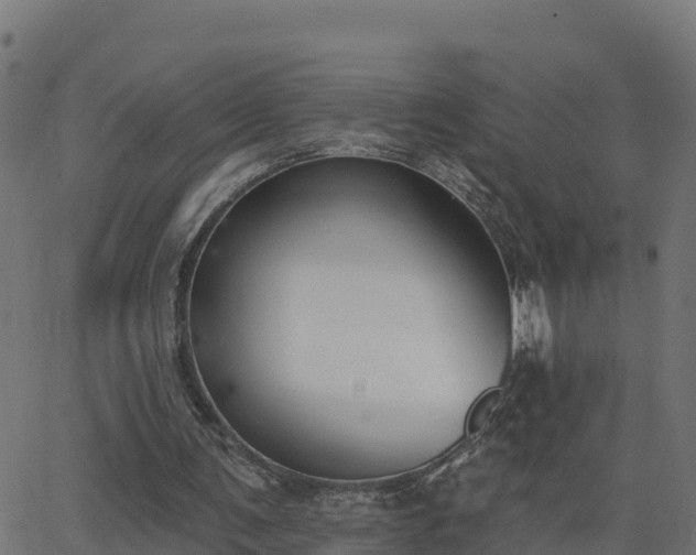 X0000062840291200601201645