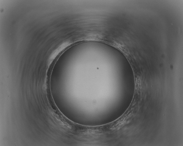 X0000062840292200601201645