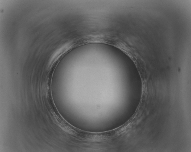 X0000062840293200601201645