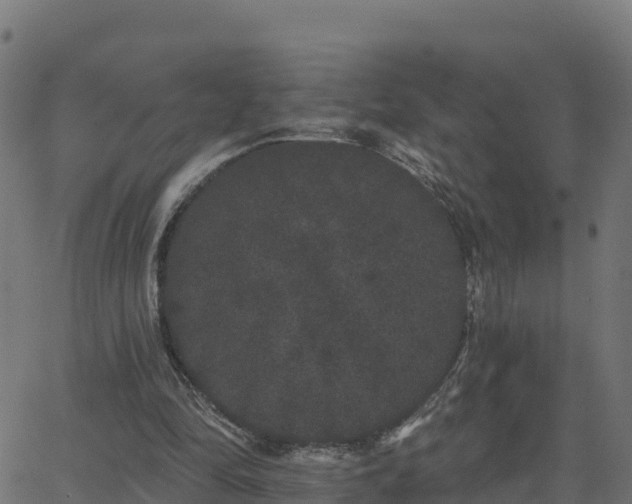 X0000062840294200601201645