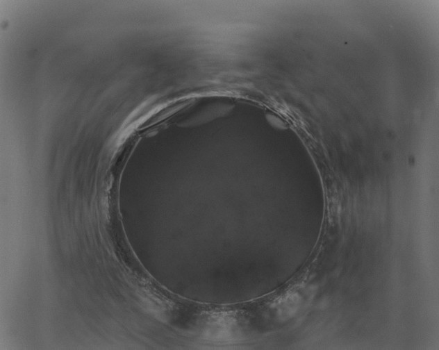 X0000062840295200601201645