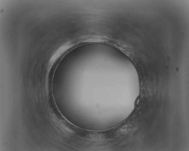 X0000062840296200601201645