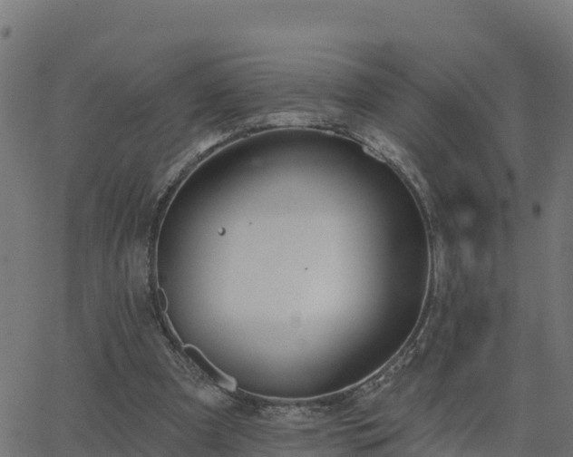 X0000062840297200601201645