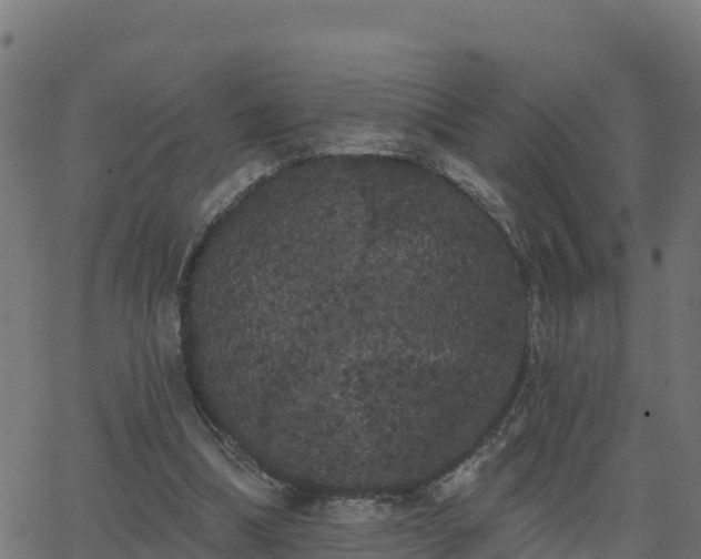 X0000062840298200601201645