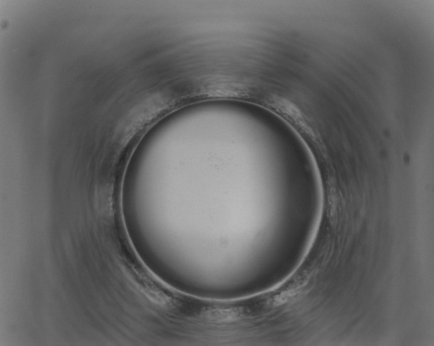 X0000062840299200601201645