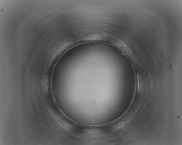 X0000062840300200601201645