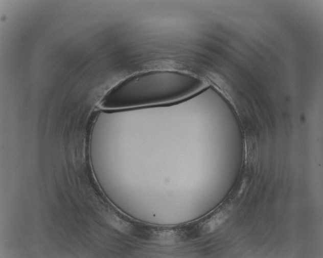 X0000062840301200601201645