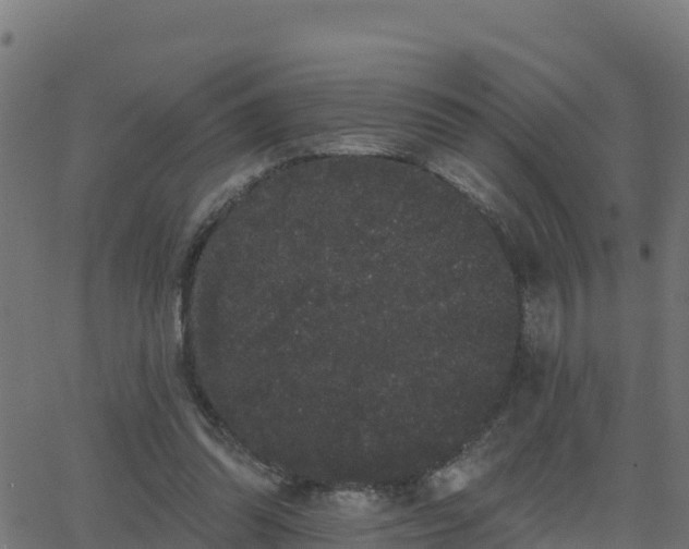 X0000062840302200601201645