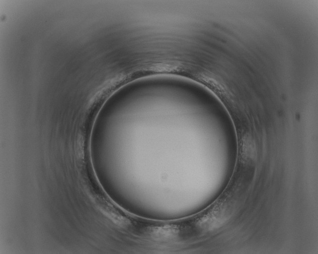 X0000062840303200601201645