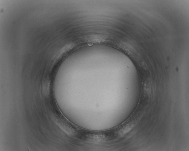 X0000062840304200601201645