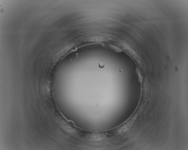 X0000062840305200601201645