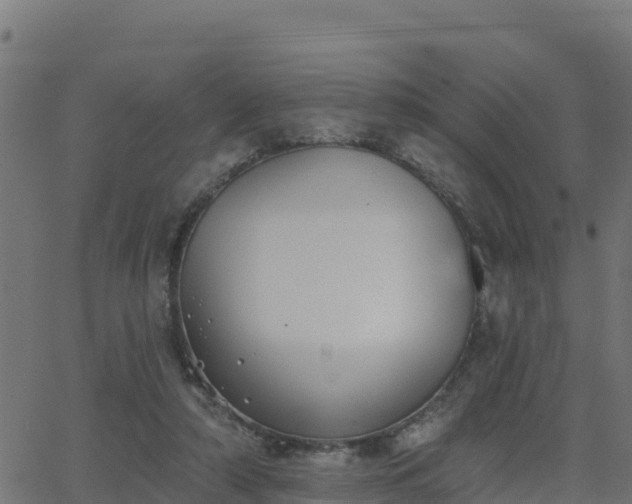 X0000062840306200601201645