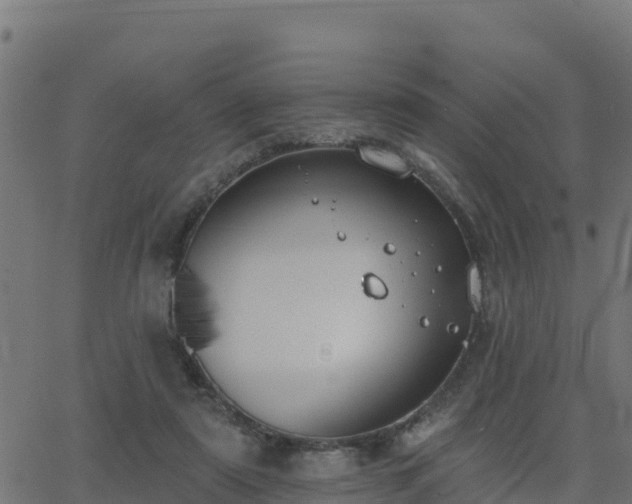 X0000062840307200601201645