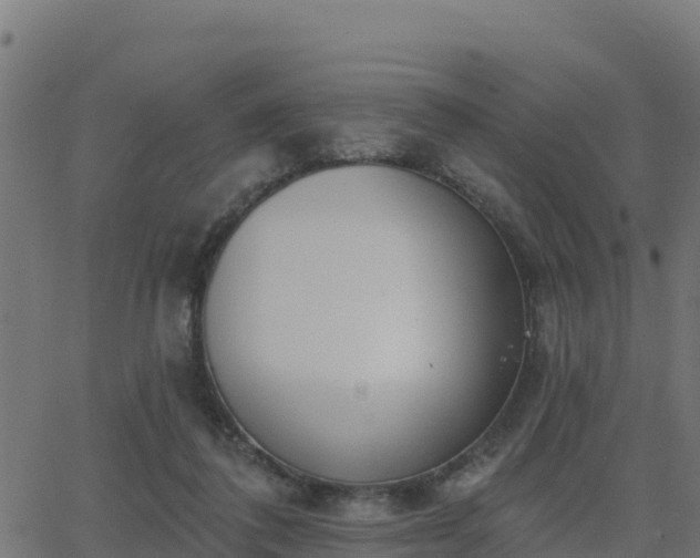 X0000062840308200601201645