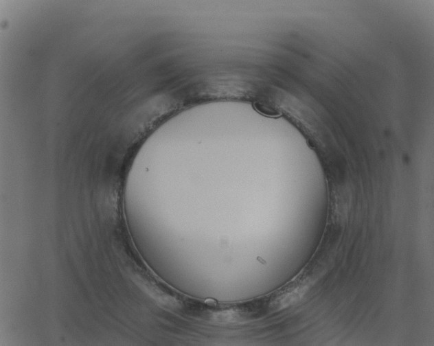 X0000062840309200601201645