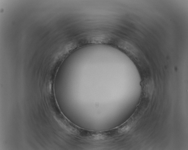 X0000062840310200601201645