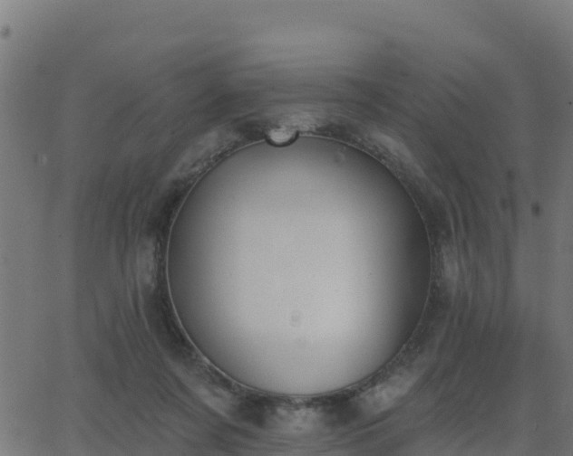 X0000062840311200601201645