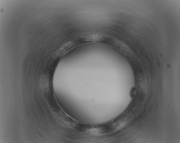 X0000062840312200601201645