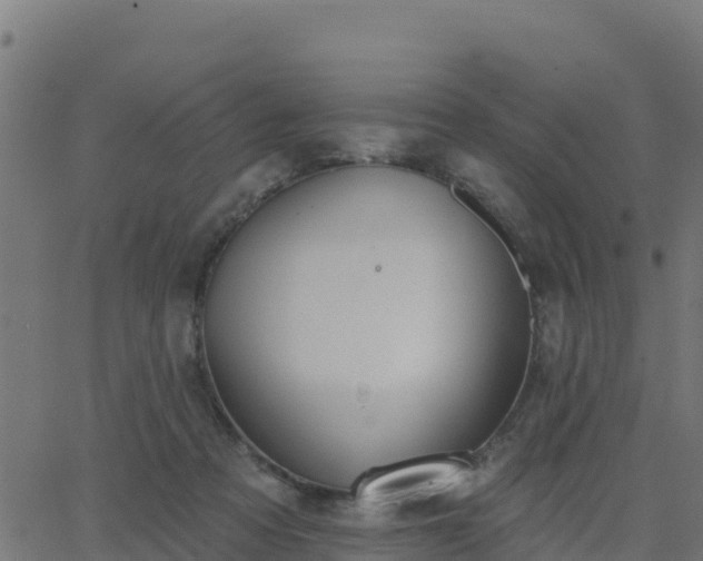 X0000062840313200601201645