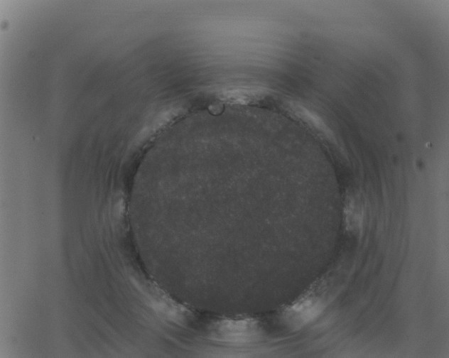 X0000062840314200601201645