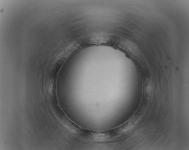 X0000062840315200601201645