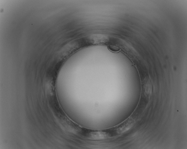 X0000062840316200601201644