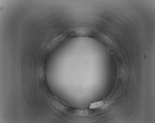 X0000062840317200601201644