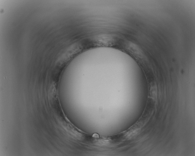 X0000062840318200601201644