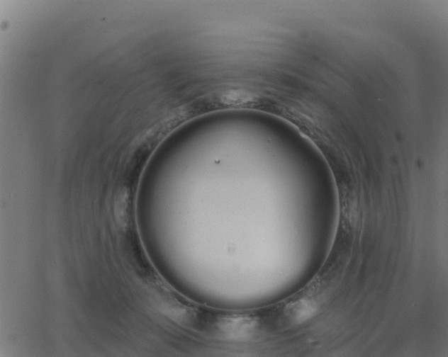 X0000062840319200601201644