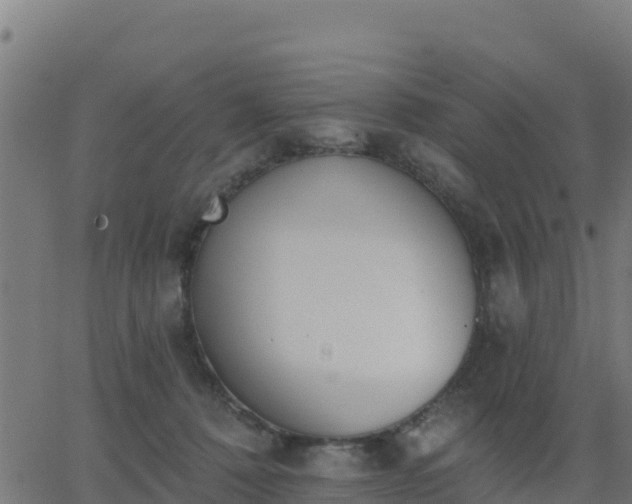 X0000062840320200601201644