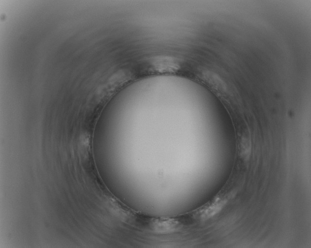 X0000062840321200601201644