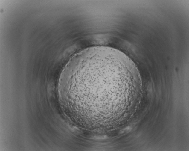 X0000062840322200601201644